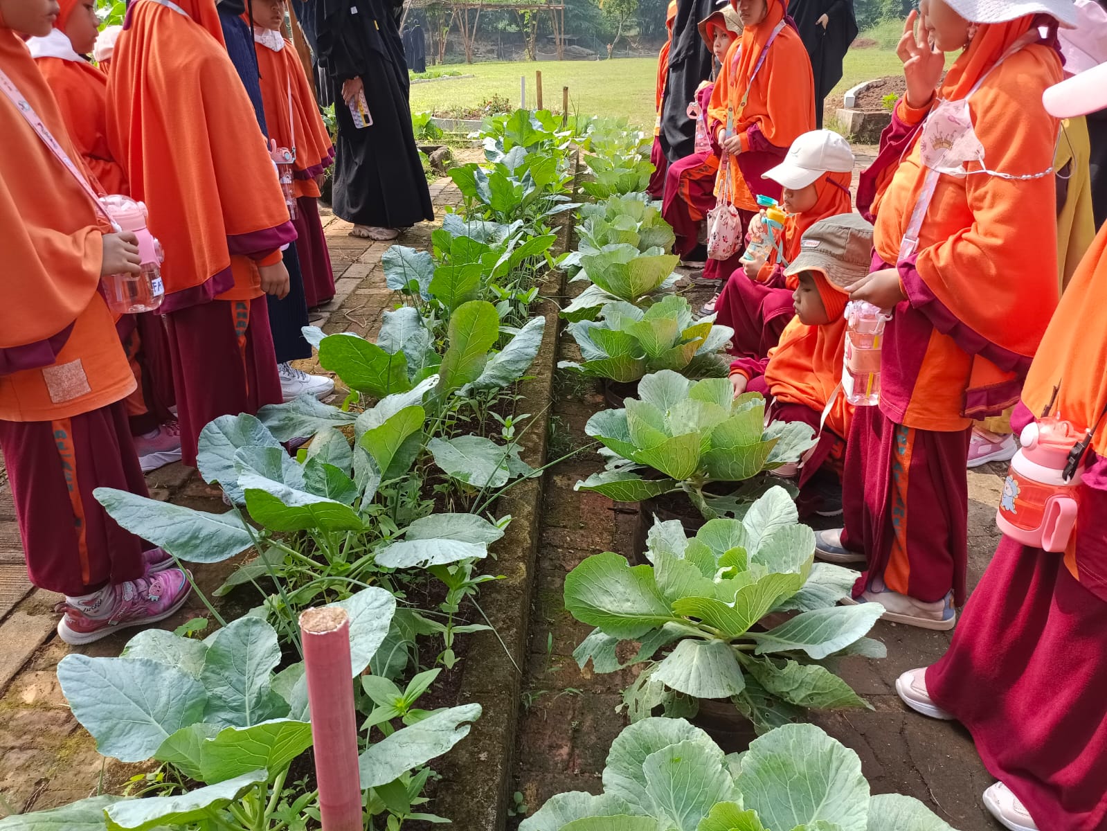 WhatsApp Image 2024-06-01 at 12.35.22